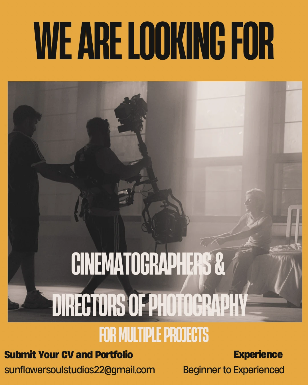 flyer for cinematographers and directors of photography for multiple projects; submit CV and portfolio